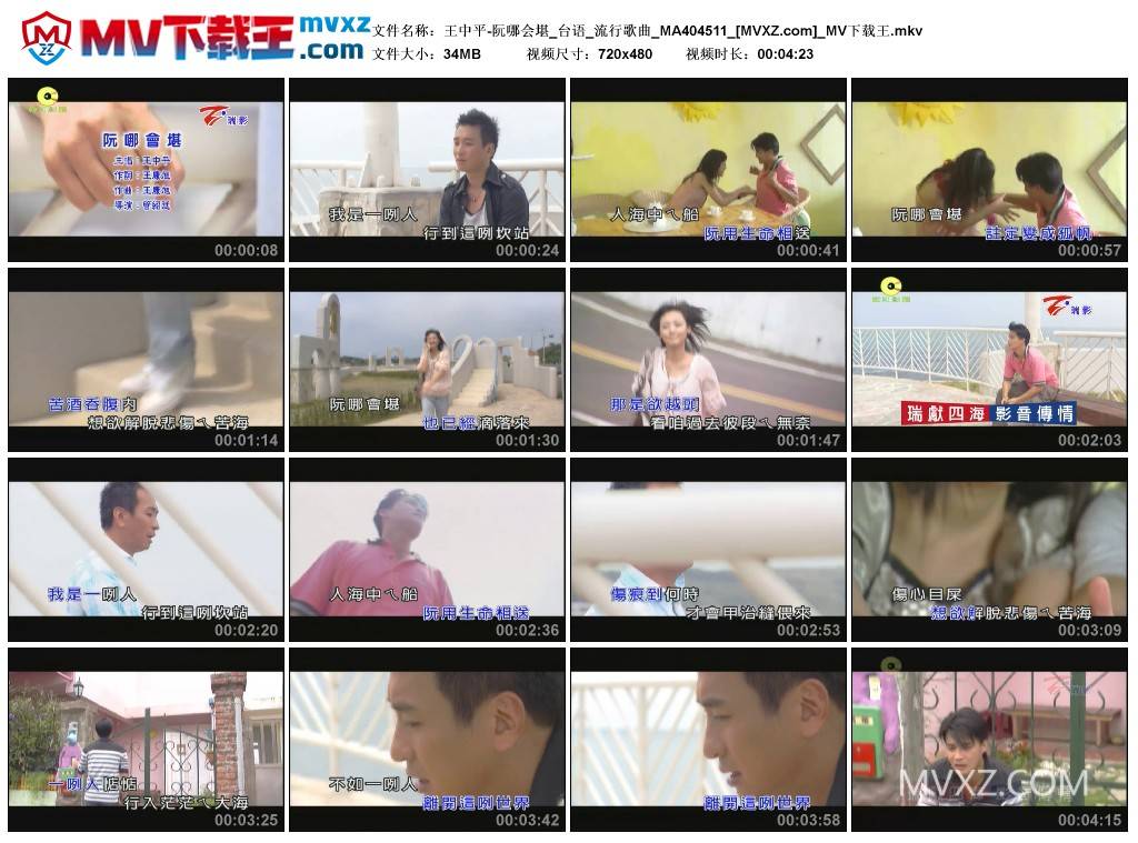 王中平-阮哪会堪_台语_流行歌曲_MA404511